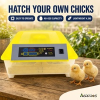 Nouvel incubateur automatique 48 œufs PP 220V pour poulets et oiseaux, couveuse transparente portable pour l'élevage domestique de volailles