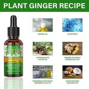 Aceite Esencial de Romero Orgánico de Grado Terapéutico Premium con Aceite de Coco para el Crecimiento del Cabello y Nutrición del Cuero Cabelludo - Product Image 3