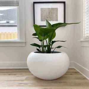 Jardinière minimaliste en fibre de verre, pot de fleurs décoratif moderne, léger, pour balcon, patio, maison, bureau - Product Image 4