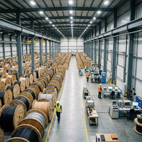 Cable Industrial ESP KL 16/900 de 3 Núcleos, 3.3kV, 130C, Resistente al Calor, Plano, con Armadura de Acero Galvanizado para Bomba de Pozo Petrolero