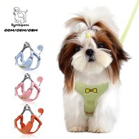Harnais réglable en velours côtelé doux pour animaux de compagnie, avec nœud élégant, pour l'extérieur, confortable et rembourré, kit anti-évasion avec laisse