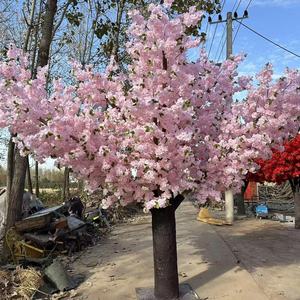 नए उत्पाद बड़े फूल के पेड़ 3.9 मीटर उच्च और 6 मीटर चौड़ा फुलजापान कृत्रिम चेरी पेड़ के लिए फूल पेड़ - Product Image 4