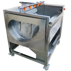 Industriële Dunschiller Prijs Coquille Taro Bieten Gember Cassave Wortel Zoete Aardappel Wasmachine