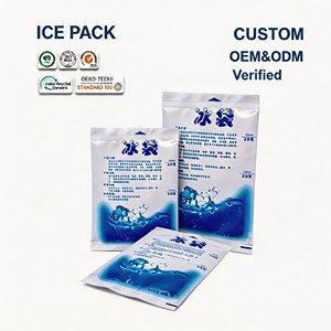 Bolsas de <span class=keywords><strong>Gel</strong></span> <span class=keywords><strong>Refrigerante</strong></span> Autosellables Personalizadas, Bolsas de Congelación Ecológicas de PE para Alimentos Frescos y Envíos - Product Image 1