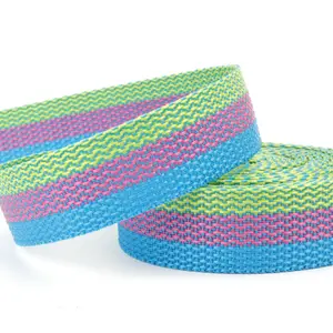 Custom Nylon Polyester woven special pattern Technique multi color Edge Elastic webbing band