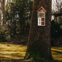 Maison d'insectes en bois, hôtel d'insectes suspendu pour les abeilles, les papillons, les coccinelles, habitat d'insectes bénéfiques, décoration de jardin personnalisée