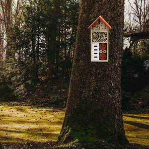 Maison d'insectes en <span class=keywords><strong>bois</strong></span>, hôtel d'insectes suspendu <span class=keywords><strong>pour</strong></span> les abeilles, les papillons, les coccinelles, habitat d'insectes bénéfiques, décoration <span class=keywords><strong>de</strong></span> <span class=keywords><strong>jardin</strong></span> personnalisée - Product Image 3