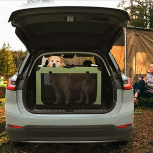 Jaula de Viaje Plegable para Mascotas, Transportín Portátil para Perros y Gatos, para Viajes en Auto y Actividades al Aire Libre - Product Image 6