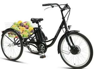 Triciclo Eléctrico de Carga con Motor de Cubo Trasero de 26 Pulgadas, 36V 250W, 6 Velocidades, Cuadro de Acero Hiten TR03 para Rueda Trasera - Product Image 2