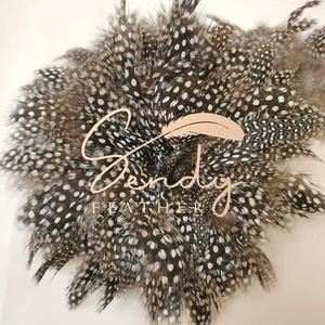 Venta al por mayor 3-5 "Natural Strung <span class=keywords><strong>Guinea</strong></span> Fowl plumas manchadas para atado de moscas pesca DIY manualidades decoraciones para el hogar - Product Image 4