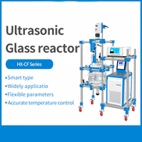 Réacteur à ultrasons 5L 10L 20L 50L 100L, mélangeur homogénéisateur en verre à ultrasons pour homogénéisation et émulsification