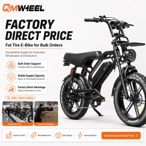 จักรยานไฟฟ้า QMWHEEL V20Limited 48V รุ่น City E-Bike ยางใหญ่ แบตเตอรี่ลิเธียม สำหรับพันธมิตรคลังสินค้าในสหรัฐอเมริกา - Product Image 1
