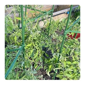 Venta al por mayor de estacas metálicas duraderas para plantas, productos de fibra de vidrio de acero recubierto de plástico para plantas trepadoras - Product Image 6