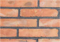 Briques réfractaires minces frittées par peau durable de brique d'argile rouge pour le matériel naturel antique solide de revêtement de mur