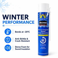 Mastic polyuréthane A13 750ml pour basses températures, qualité hiver -20°C, pour cadres de portes, joints de fenêtres et murs