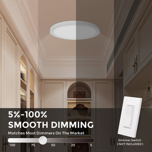 Plafonnier encastré de 12 pouces, champagne, 20W, 5 températures de couleur en une seule lampe LED ronde à montage en surface pour chambre à coucher, cuisine - Product Image 4