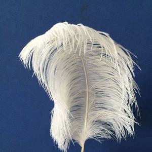 Plumes d'<span class=keywords><strong>autruche</strong></span> de taille longue de 65 à 70cm pour centres de table de mariage Plume d'<span class=keywords><strong>autruche</strong></span> naturelle assez moelleuse - Product Image 3