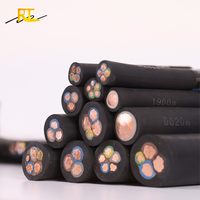 RUITINN Câble et fil électrique de pompe 3x10mm 3x25mm 3x16mm Câble en caoutchouc d'alimentation secteur étanche