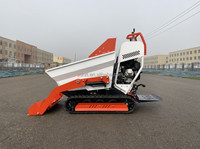 Mini-dumper Euro 5 EPA à démarrage électrique, chargeur hydraulique 500 kg avec pompe et moteur, dumper sur chenilles haute efficacité pour la construction