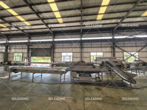 Laveuse industrielle de papaye, machine de nettoyage d'algues, machine à laver les dattes - Product Image 6