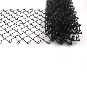 Highway Pvc Coated Chain Link Fence Prison Hot Dipped Galvanized Diamond Fence Airport Woven Cyclone Wire Mesh