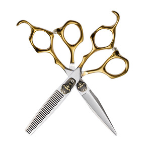 Daxin Scissors Hairdressing Shears Set 6 Inch Stainless Steel Thinning And Flat Shears For Salon Use - Product Image 1