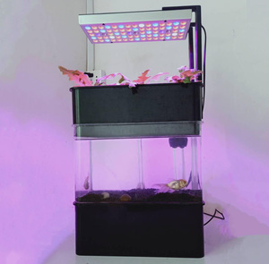 Sistema acquaponico ecologico ecosistema acquario per pesci/acquario ecologico chiuso/ciotola per pesci rossi piccolo da tavolo con LED