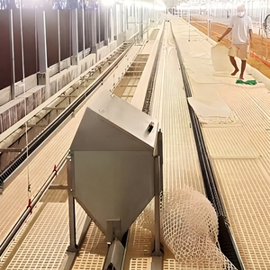 Sistema di Alimentazione Automatico a Catena per Polli, Galline <span class=keywords><strong>e</strong></span> Pollame da Allevamento - Product Image 4