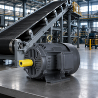 Moteur à usage général robuste 160 kW, moteur à induction pour convoyeur à bande
