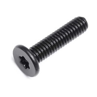 M2 M2.5 M3 M4 M5 M6 M8 Acier Inoxydable Noir Tête Plaquette Vis Torx Vis Plates Ultra Minces