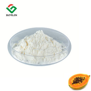 Ekstrak Pepaya Bubuk 100k u/g Papain Powder - Product Image 2