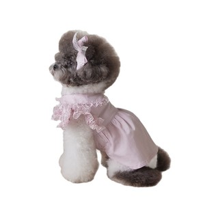 Jupe de luxe tendance pour animaux de compagnie, style princesse, avec dentelle en polyester, pour chiots, collection été-printemps - Product Image 6