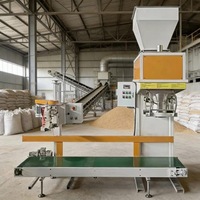 Machine à emballer sèche automatique de cachetage de poudre pour l'engrais organique de sel de potassium 10-15 sacs