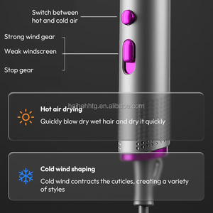 Sèche-cheveux professionnel électrique 2400W ionique pliable avec moteur DC et concentrateur de volume amélioré pour voiture, camping-car, hôtel, extérieur - Product Image 2