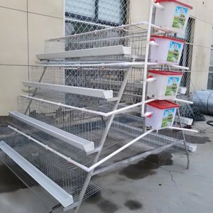 <span class=keywords><strong>Prix</strong></span> usine longue durabilité métal galvanisé un type automatique batterie couche cages à œufs de poulet en malaisie - Product Image 1