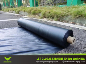 Películas de acolchado agrícola de LDPE de fábrica, estabilizadas con protección UV, para control de la humedad y retención de humedad en hortalizas y frutas. - Product Image 3