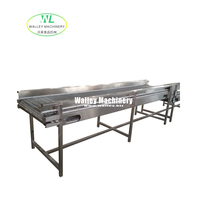 Fabrieksleveringsprijs Dubbele Enkelvoudige Laag Sorteerbaan Motor Groente Fruit Pluktafel RVS 304 1.5KW