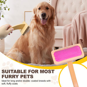 Brosse pour chien pour le toilettage des poils d'animaux-Meilleur lisseur pour <span class=keywords><strong>caniche</strong></span> et doré <span class=keywords><strong>Doodle</strong></span> Long Pin Hair Remover Cat - Product Image 1