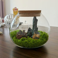 15cm Modern kosong terarium kaca meja vas kayu gabus transparan glasir untuk meja kantor dekorasi Mini tampilan tanaman