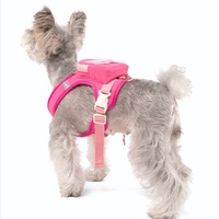 Sac à dos autoportant pour chien, laisse extérieure en treillis, rangement pratique, motif à carreaux, respirant, fermeture à boucle, style japonais et coréen