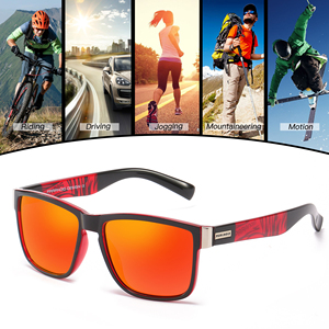 Gafas de Sol Polarizadas UV400 DUBERY 2026 Unisex para Adultos, Montura de PC Azul y Transparente, Gafas de Sol Gruesas Paranoid 2024 para Hombre y Mujer - Product Image 6