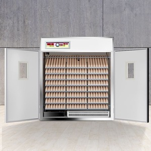 Nouvel incubateur automatique <span class=keywords><strong>Gongle</strong></span> GL-1056 pour œufs de volaille, capacité de 88 à 5280 œufs, alimentation solaire/électrique, pour œufs de poulet - Product Image 5