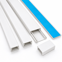 Goulotte de câblage en PVC à fixation par vis avec couvercle amovible pour un routage fiable des fils électriques