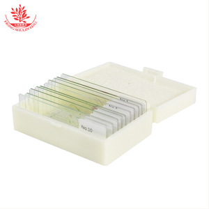 Estructura típica de protozoos, introducción a las amebas, equipo de laboratorio biológico, preparados zoológicos - Product Image 1