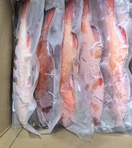 Corvina del Corallo Leopardata Congelata Intera - Product Image 2