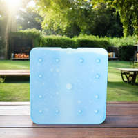 Congélateur à plaque eutectique PCM -22C, grande brique de glace réutilisable pour aliments, matériau HDPE/PE isolé thermiquement pour chariot à glaces