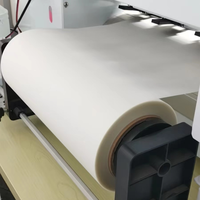 Meilleure Qualité Dtf Pet Film Rouleau 30cm 60cm Transfert Dtf Film pour Dtf Impression A3 Pet Film