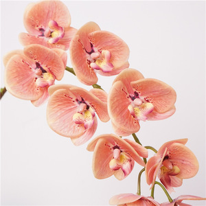 RK212 Orquídeas Artificiales al por Mayor, Phalaenopsis <span class=keywords><strong>Dendrobium</strong></span>, Orquídea Mariposa de Látex, 10 Cabezas, Flores de Orquídea Artificiales de Tacto Real - Product Image 5