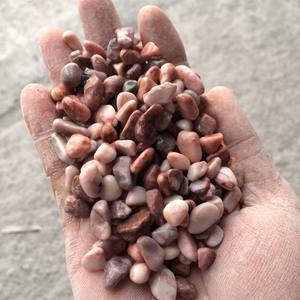 หินกรวดสีชมพูธรรมชาติสำหรับภูมิทัศน์กลางแจ้งประเภทถั่วกรวด - Product Image 4