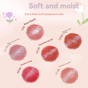 Lápiz labial es luz brillante y luz Otoño e invierno Vintage Terra Cotta rojo marrón lápiz labial hidratante - Product Image 5